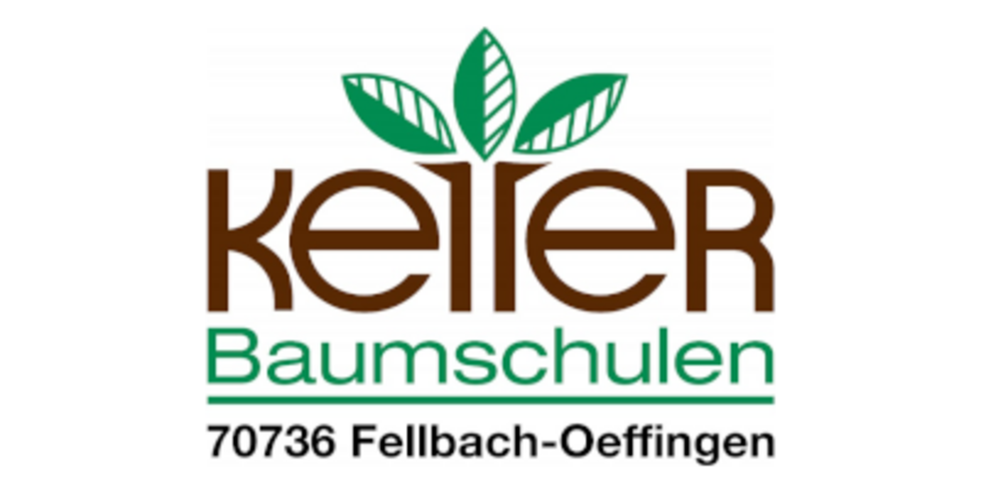 Hauptsponsoren